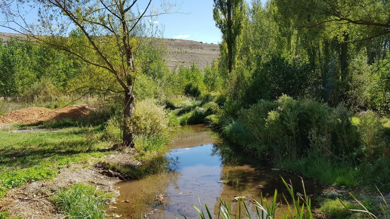 Casa Rural Los Yeros Aldeasona - Segovia Dış mekan fotoğraf